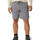 Kleidung Herren Shorts / Bermudas Lee  Grau