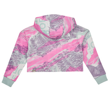 The North Face Girls Drew Peak Light Hoodie Multicolor