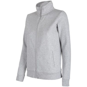 Kleidung Damen Sweatshirts 4F BLD351 Grau