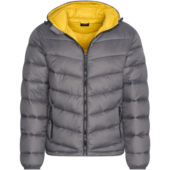 Kleidung Herren Parkas Cappuccino Italia Hooded Winter Jacket Antraciet Grau