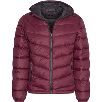 Kleidung Herren Parkas Cappuccino Italia Hooded Winter Jacket Burgundy Rot