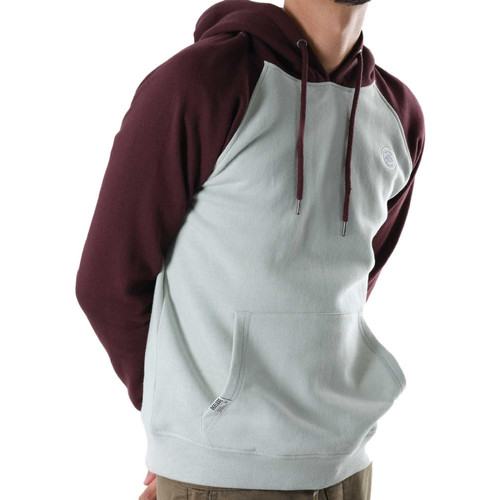 Kleidung Herren Sweatshirts Deeluxe 02V521M Grau