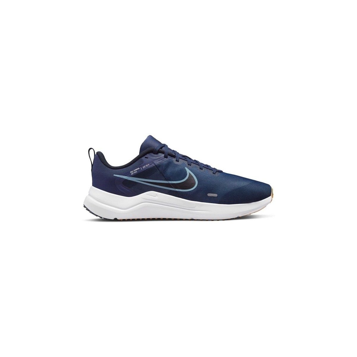 Schuhe Herren Multisportschuhe Nike DOWNSHIFTER 12 Blau