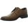 Schuhe Herren Derby-Schuhe & Richelieu Longo Business -Schnürhalbschuh 1021064 Braun