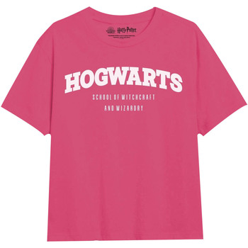 Kleidung Mädchen Langarmshirts Harry Potter  Multicolor