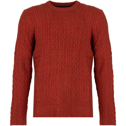 Kleidung Herren Pullover Pepe jeans PM702278 | New Jules Rot