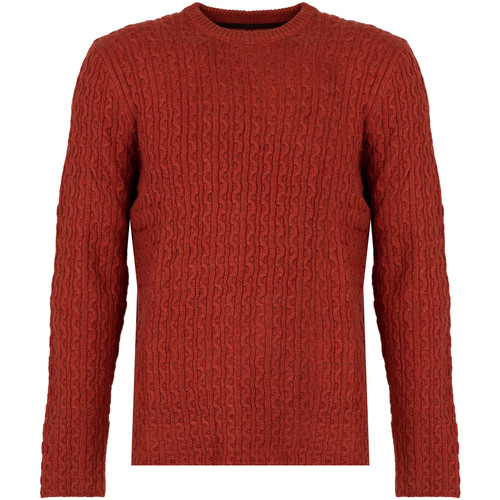 Kleidung Herren Pullover Pepe jeans PM702278 | New Jules Rot