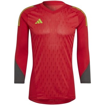 Kleidung Herren T-Shirts & Poloshirts adidas Originals Sport T23 P GK JSY L HK7663 Rot