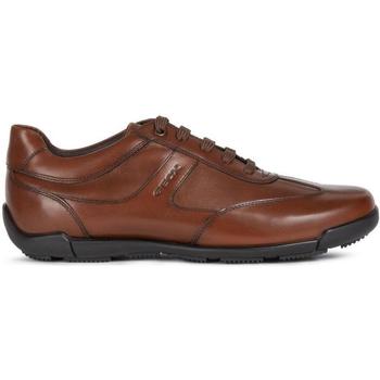 Schuhe Herren Sneaker Low Geox  Braun