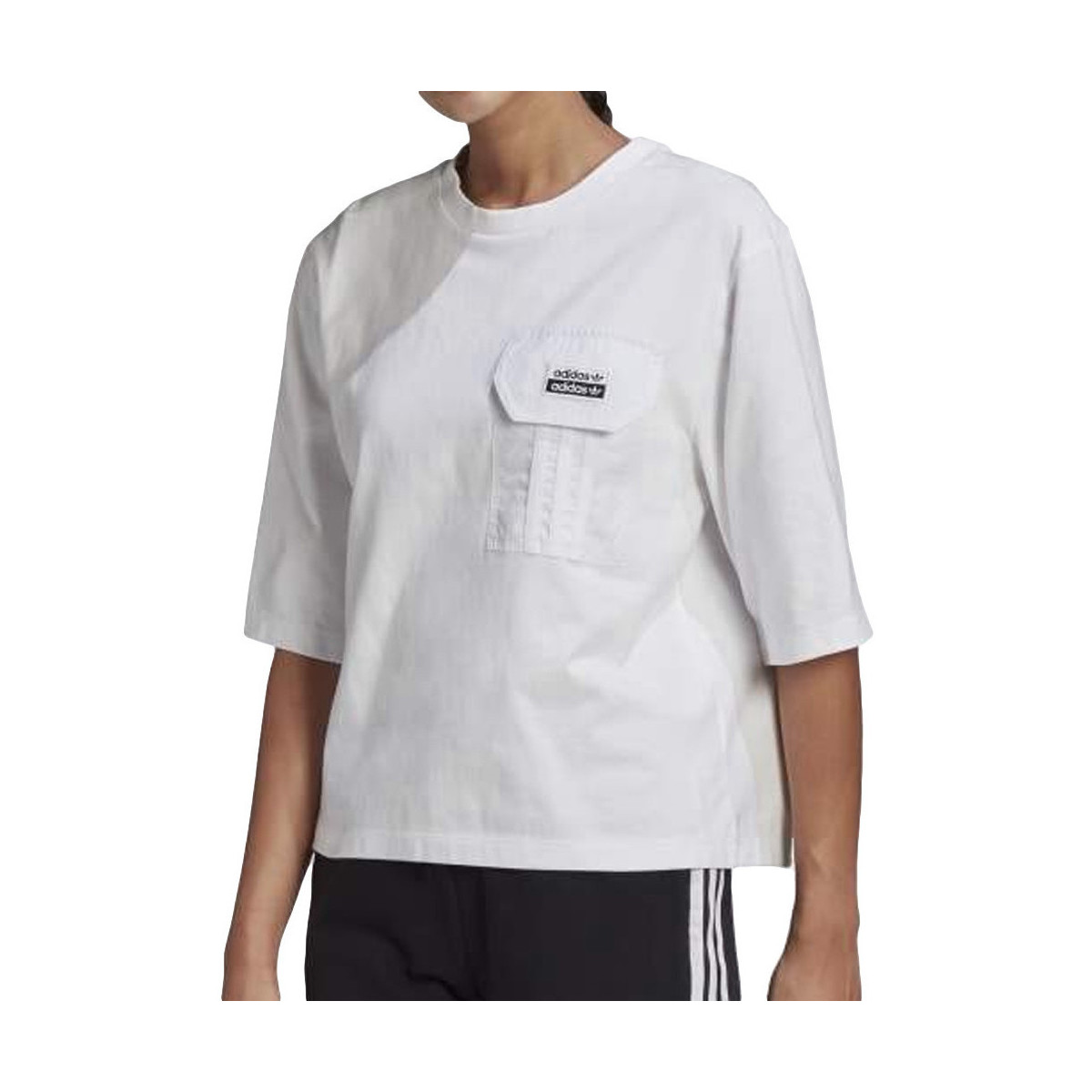 Kleidung Damen T-Shirts & Poloshirts adidas Originals GN4251 Weiss