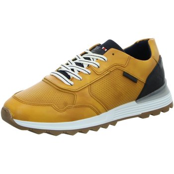 Schuhe Herren Derby-Schuhe & Richelieu Bullboxer Schnuerschuhe 373-K2-0438C gelb