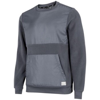 Kleidung Herren Sweatshirts 4F BLM010 Grau