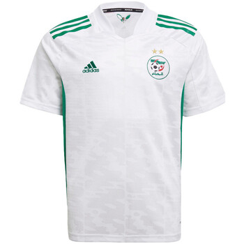 Kleidung Jungen T-Shirts & Poloshirts adidas Originals GS4017 Weiss