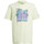 Kleidung Jungen T-Shirts & Poloshirts adidas Originals HF7434 Grün