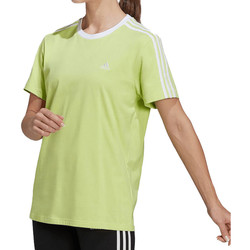 Kleidung Damen T-Shirts & Poloshirts adidas Originals HF7256 Grün