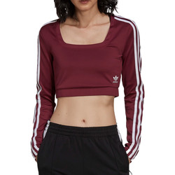 Kleidung Mädchen T-Shirts & Poloshirts adidas Originals H37770 Violett