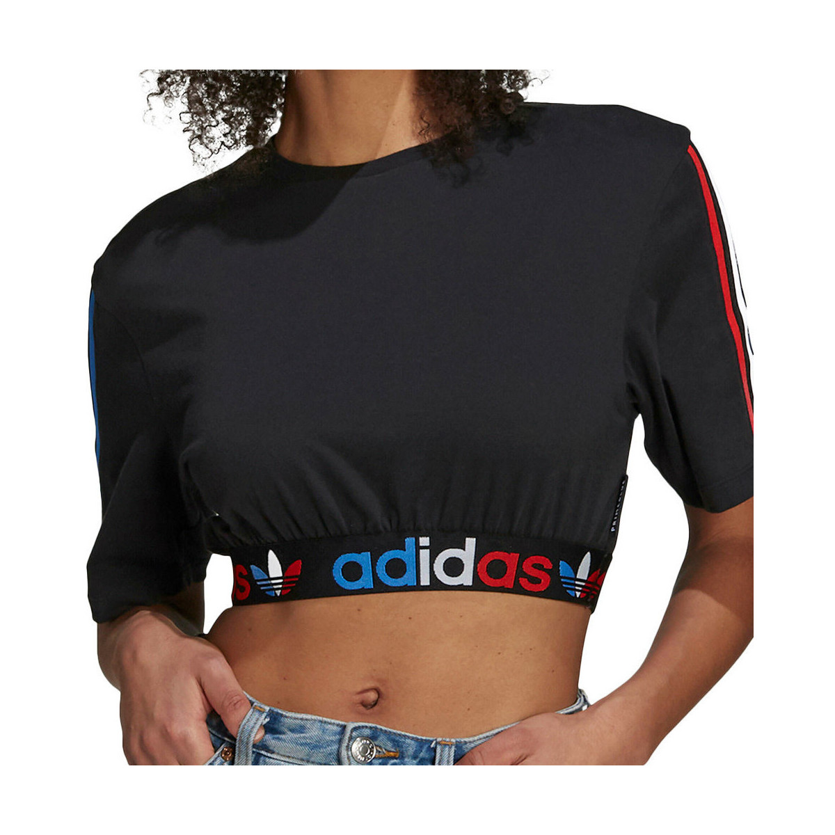 Kleidung Damen T-Shirts & Poloshirts adidas Originals GN2932 Schwarz