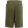 Kleidung Jungen Shorts / Bermudas adidas Originals HD2063 Grün