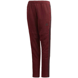 Kleidung Jungen Jogginghosen adidas Originals FP8044 Rot