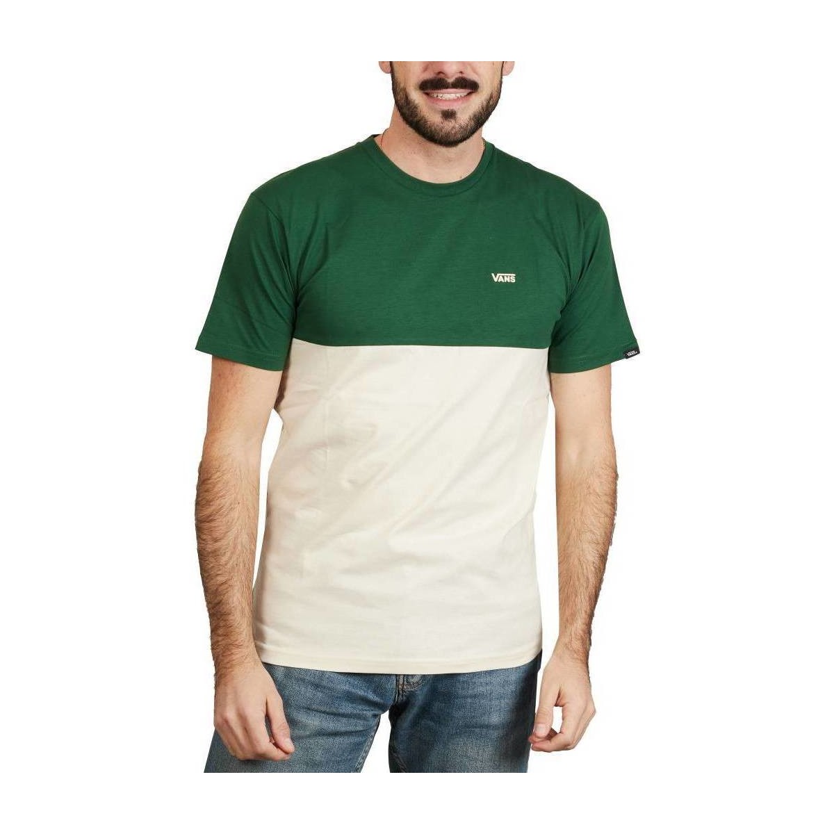 Kleidung Herren Kurzärmelige Hemden Vans COLORBLOCK TEE Grün