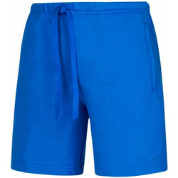Kleidung Herren Shorts / Bermudas adidas Originals H33446 Blau