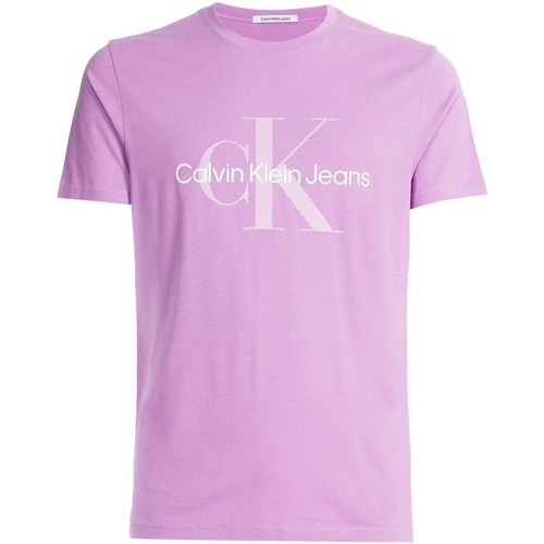 Kleidung Herren T-Shirts Calvin Klein Jeans J30J320806 Violett