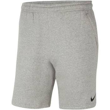 Kleidung Jungen 3/4 Hosen & 7/8 Hosen Nike Flecee Park 20 Jr Short Grau