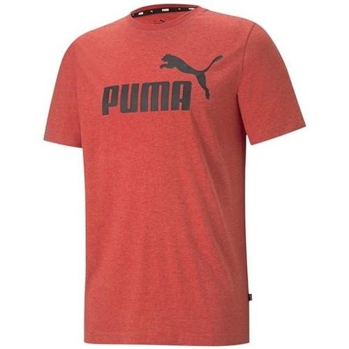 Kleidung Herren T-Shirts Puma Essentials Orange