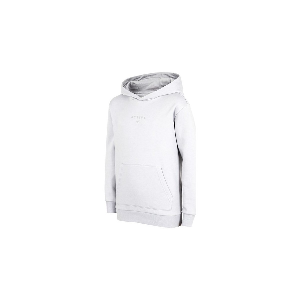 Kleidung Jungen Sweatshirts 4F JBLD003 Grau