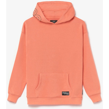 Kleidung Jungen Sweatshirts Le Temps des Cerises Kapuzen-sweatshirt HISABO Orange