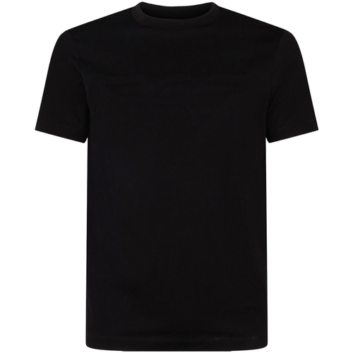 Kleidung Herren T-Shirts & Poloshirts Emporio Armani 8N1TD21JGYZ 0022 Schwarz