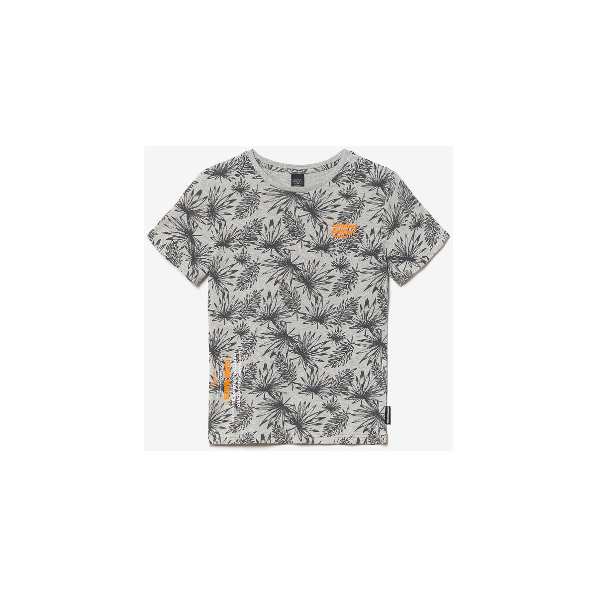 Kleidung Jungen T-Shirts & Poloshirts Le Temps des Cerises T-shirt NORIBO Braun