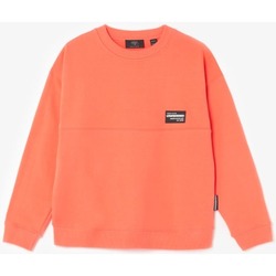 Kleidung Jungen Sweatshirts Le Temps des Cerises Sweatshirt HIBIBO Orange