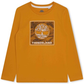 Kleidung Jungen T-Shirts Timberland T25U36-575-J Gelb