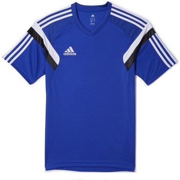 Kleidung Herren T-Shirts adidas Originals Condivo 14 Training Blau