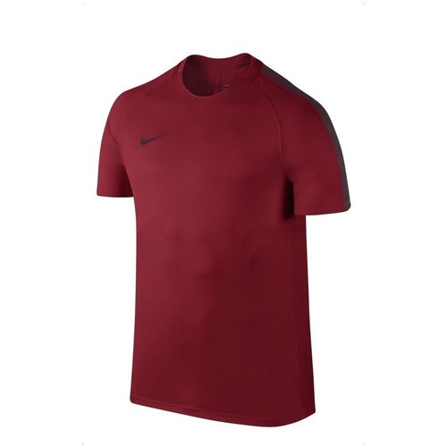 Kleidung Herren T-Shirts Nike Dry Squad Bordeaux