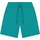 Kleidung Herren Shorts / Bermudas Champion Bermuda  Cml Logo Multicolor
