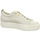 Schuhe Damen Derby-Schuhe & Richelieu Paul Green Schnuerschuhe 5017 5017-061 Beige