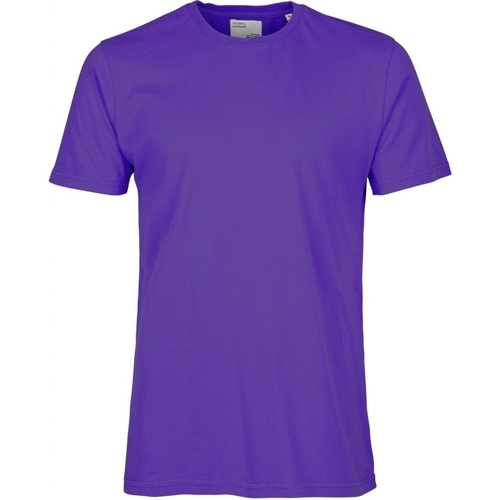 Kleidung T-Shirts Colorful Standard T-shirt  Classic Organic ultra violet Violett