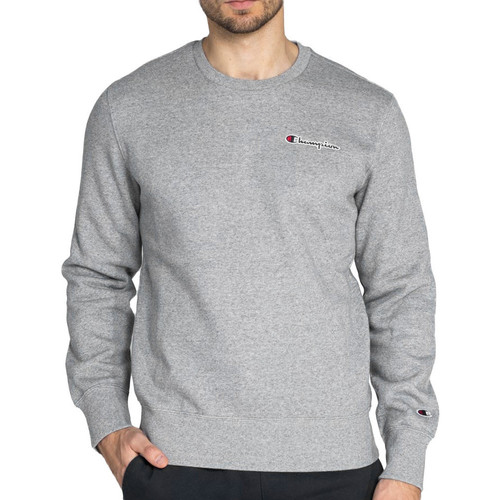 Kleidung Herren Sweatshirts Champion 216476 Grau