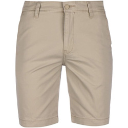 Kleidung Herren Shorts / Bermudas Levi's 17202-0008 Beige