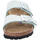 Schuhe Damen Pantoletten / Clogs Birkenstock Pantoletten Arizona BS 1024213 Grün