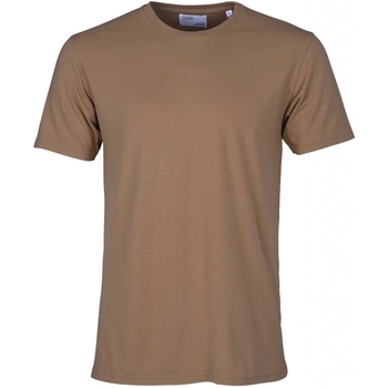 Kleidung T-Shirts Colorful Standard T-shirt  Classic Organic sahara camel Braun