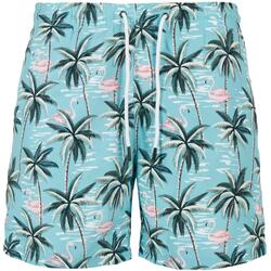 Kleidung Herren Badeanzug /Badeshorts Urban Classics Short de bain à motif  GT Blau