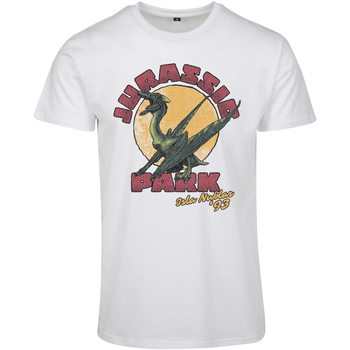Urban Classics  T-Shirts & Poloshirts T-shirt  Jurassic Park Isla Nybla günstig online kaufen