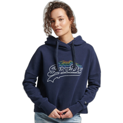 Kleidung Damen Sweatshirts Superdry Sweatshirt à capuche à motif arc-en-ciel et logo femme Blau