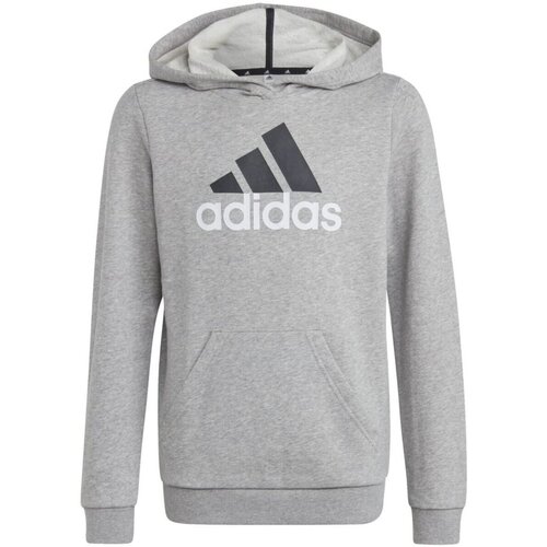 Kleidung Jungen Sweatshirts adidas Originals Sport U BL 2 HOODIE HB4362 000 Grau