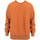 Kleidung Herren Sweatshirts Champion 216488 Orange
