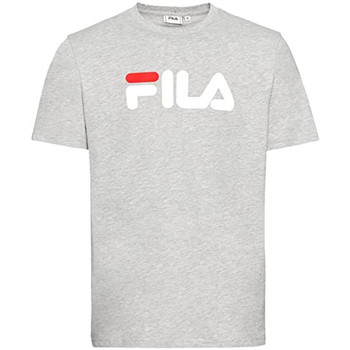 Kleidung Herren T-Shirts & Poloshirts Fila FAU0092 Grau