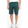 Kleidung Herren Shorts / Bermudas DC Shoes DC HEGGERTY SHORT JUNE BUG SEDYFB03047 Grün